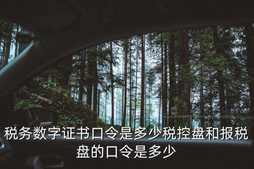 國稅證書口令是什么，我想問下國家稅務(wù)網(wǎng)上申報點擊安全登錄時出現(xiàn)的用戶口令是什么