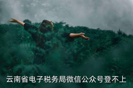 為什么云南省國家稅務(wù)局進不去，云南省電子稅務(wù)局微信公眾號登不上