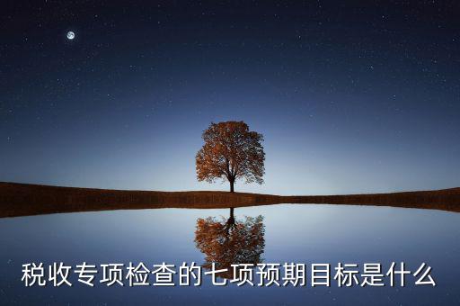 什么是稅收專項調(diào)查，稅收專項檢查的七項預(yù)期目標(biāo)是什么