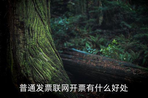 普通網(wǎng)絡(luò)發(fā)票有什么用，開(kāi)普通發(fā)票網(wǎng)絡(luò)受理號(hào)有什么作用
