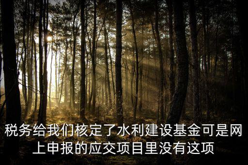 為什么水利建設(shè)無(wú)法申報(bào)，地稅電子稅務(wù)局的水利基金下滑找不到申報(bào)怎么辦