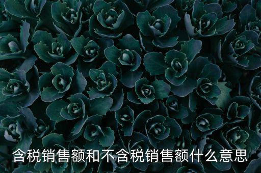 含稅銷(xiāo)售額和不含稅銷(xiāo)售額什么意思