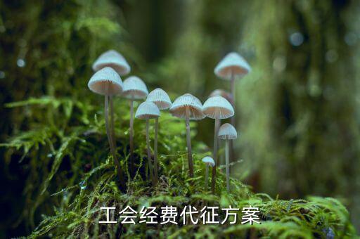 工會(huì)經(jīng)費(fèi)為什么委托稅務(wù)機(jī)關(guān)代征，工會(huì)經(jīng)費(fèi)交地稅局是怎么回事