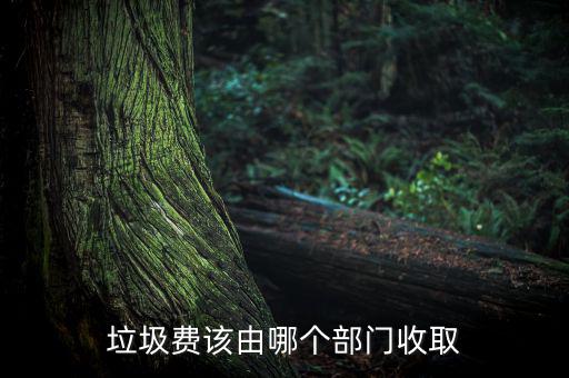 垃圾費(fèi)該由哪個(gè)部門(mén)收取