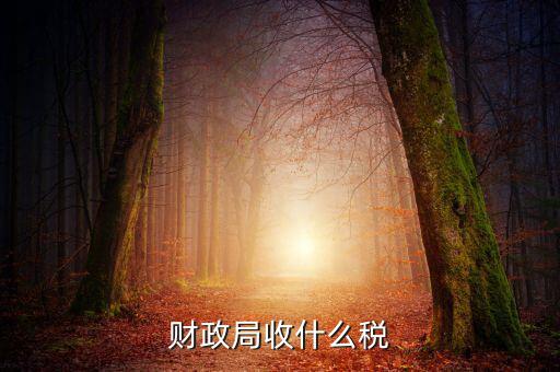 財政局征收什么稅，現(xiàn)行由財政機關(guān)征收的稅收有哪些拜托各位大神