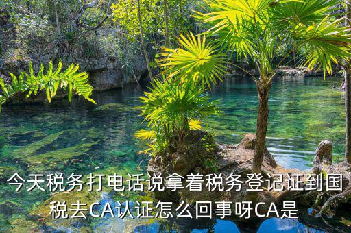 電子稅務(wù)局什么是ca登錄，網(wǎng)上報(bào)稅CA驗(yàn)證系統(tǒng)是甚么