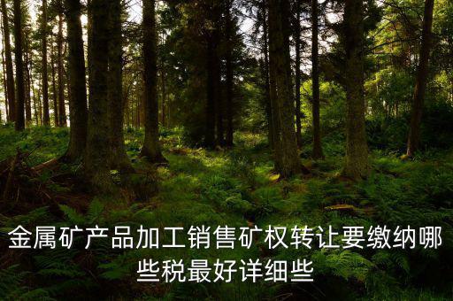 金屬礦產(chǎn)品加工銷售礦權轉(zhuǎn)讓要繳納哪些稅最好詳細些