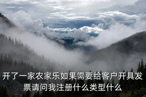 我要是以開普票為主 注冊什么性質的公司好，開了一家農家樂如果需要給客戶開具發(fā)票請問我注冊什么類型什么