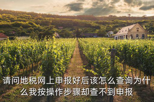 請(qǐng)問(wèn)地稅網(wǎng)上申報(bào)好后該怎么查詢?yōu)槭裁次野床僮鞑襟E卻查不到申報(bào)