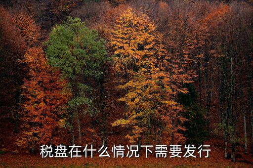 稅控盤變更發(fā)行是什么意思，更換稅控盤需要什么