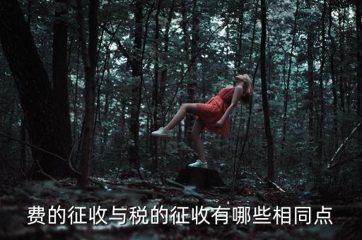 稅與費(fèi)有什么區(qū)別 稅收具有，費(fèi)的征收與稅的征收有哪些相同點(diǎn)