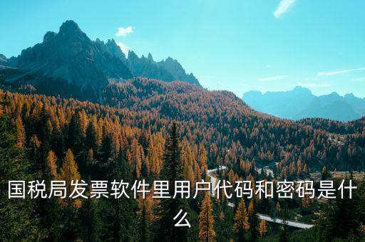 湖南汽車發(fā)票密碼是什么，國稅局發(fā)票軟件里用戶代碼和密碼是什么