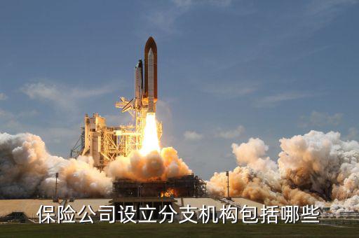 什么是分支機(jī)構(gòu)類型，公司的分支機(jī)構(gòu)是什么它和分公司子公司有什么區(qū)別
