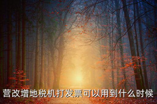 地稅發(fā)票能用到什么時(shí)候，納稅人已領(lǐng)取地稅機(jī)關(guān)印制的發(fā)票可以使用到什么時(shí)候