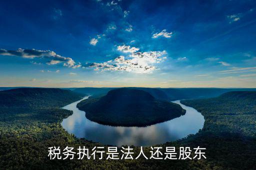 稅收政策執(zhí)行是干什么的，稅務(wù)執(zhí)行是法人還是股東