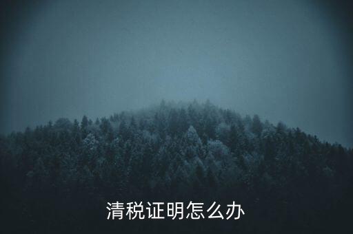 稅務(wù)無紙化辦公要什么材料，清稅證明怎么辦