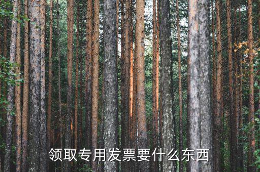 領(lǐng)購專票需要帶什么，領(lǐng)購增值稅專用發(fā)票需要帶哪些東西詳細(xì)點(diǎn)謝謝