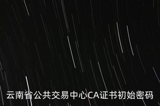 ca證書的原始密碼是什么意思，云南省公共交易中心CA證書初始密碼
