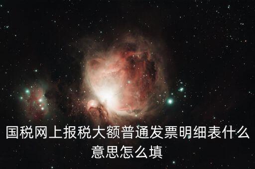 發(fā)票里的明細(xì)是什么意思，國稅網(wǎng)上報稅大額普通發(fā)票明細(xì)表什么意思怎么填