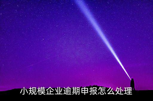 小規(guī)模納稅人如果沒(méi)有按時(shí)申報(bào)有什么后果，小規(guī)模不報(bào)稅什么后果