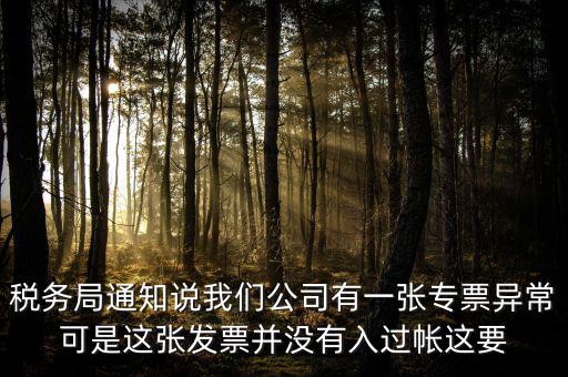 稅務(wù)局通知說我們公司有一張專票異?？墒沁@張發(fā)票并沒有入過帳這要