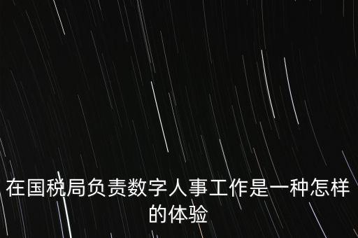 在國稅局負(fù)責(zé)數(shù)字人事工作是一種怎樣的體驗