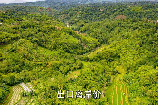 出口貨物離岸價(jià)是什么，出口離岸價(jià)