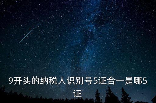 9開(kāi)頭的納稅人識(shí)別號(hào)5證合一是哪5證