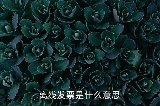 離線開(kāi)票什么意思，離線發(fā)票是什么意思