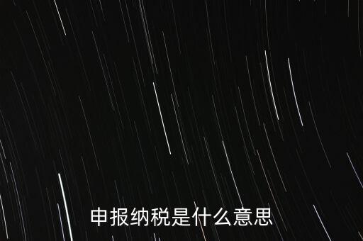 通用申報(bào)稅是什么，非稅收入通用申報(bào)表是什么稅