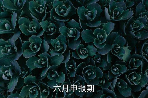 6月申報期是什么意思，個人所得稅申報期是每月15號嗎
