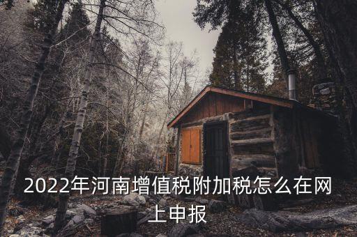 附加稅在什么網站申報，2022年河南增值稅附加稅怎么在網上申報