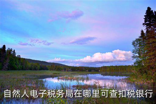 電子稅務局銀行端查詢什么，天津電子稅務局如何查詢銀行賬戶備案信息