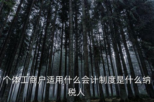 個體戶屬于什么納稅人，從事縫紉業(yè)務的個體戶屬于哪一類納稅人