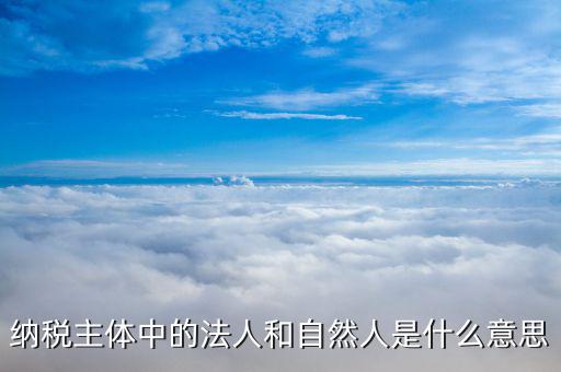 什么是自然納稅人，納稅主體中的法人和自然人是什么意思