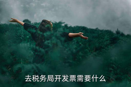 常州國稅認(rèn)證發(fā)票需要帶什么手續(xù)，去國稅認(rèn)證發(fā)票需要帶什么資料