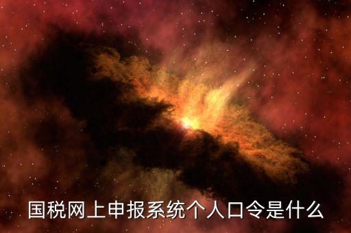 國稅證書口令是什么意思，網(wǎng)上申報國稅系統(tǒng)登陸的口令是什么