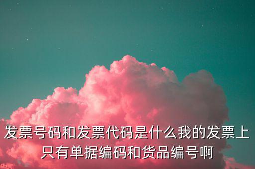 發(fā)票號指的是什么，發(fā)票號碼是指哪個(gè)號碼
