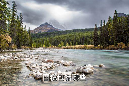 什么屬于國稅，什么樣的經(jīng)營范圍屬于國稅