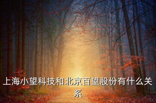 百望跟百旺有什么關(guān)系，上海小望科技和北京百望股份有什么關(guān)系