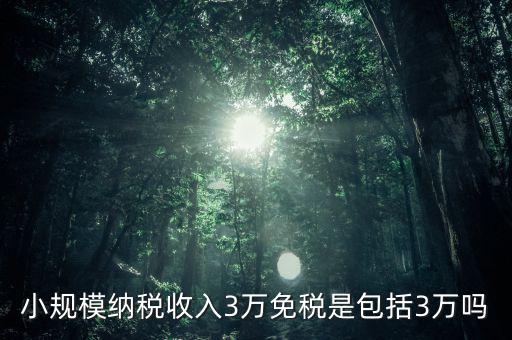 3萬免稅是指什么，小規(guī)模納稅收入3萬免稅是包括3萬嗎