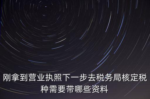 湖北國稅增加稅種需要帶什么資料，企業(yè)報(bào)稅種需要帶什么資料