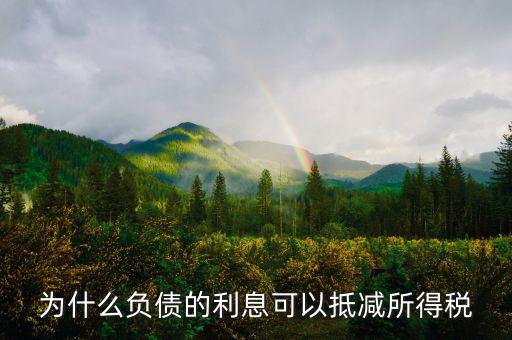 企業(yè)負(fù)債時(shí)稅率有什么優(yōu)惠，企業(yè)所得稅優(yōu)惠政策有哪些