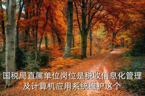 稅收信息化崗位做什么，信息化在稅務(wù)管理中有什么作用