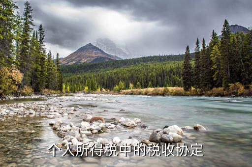什么是協(xié)定個(gè)稅，個(gè)人所得稅中的稅收協(xié)定