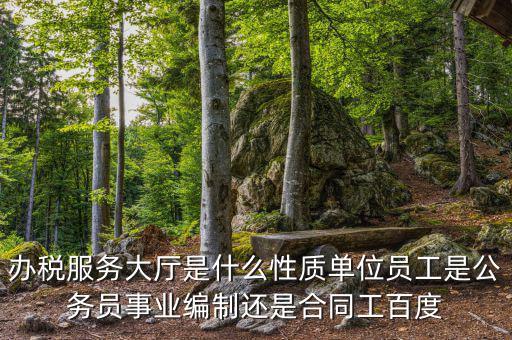 什么是辦稅服務(wù)大廳，辦稅服務(wù)廳的基本服務(wù)包括哪些