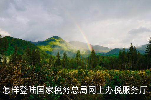 稅務(wù)局登錄什么瀏覽器可以，怎樣登陸國家稅務(wù)總局網(wǎng)上辦稅服務(wù)廳