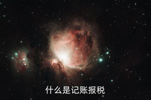 報稅記錄是指什么，報稅是什么意思 報稅的含義