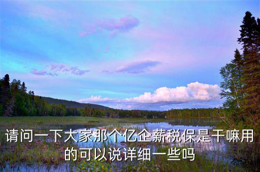 請問一下大家那個億企薪稅保是干嘛用的可以說詳細一些嗎