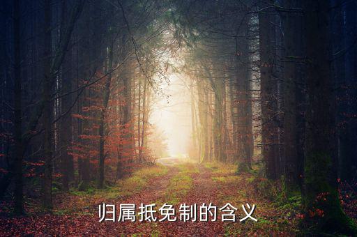 為什么要制定實(shí)施稅收抵免制度，歸屬抵免制的含義